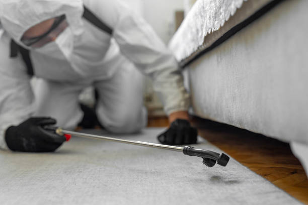 Professional Ant Control technician working in Colchester, IL
