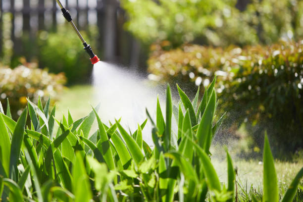 24/7 Emergency Ant Control experts in Colchester, IL