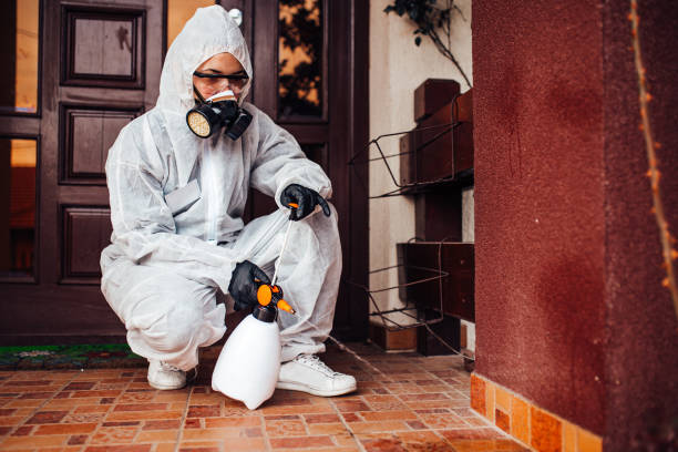 Reliable Ant Control contractor in Colchester, IL by Show Me Pest Control